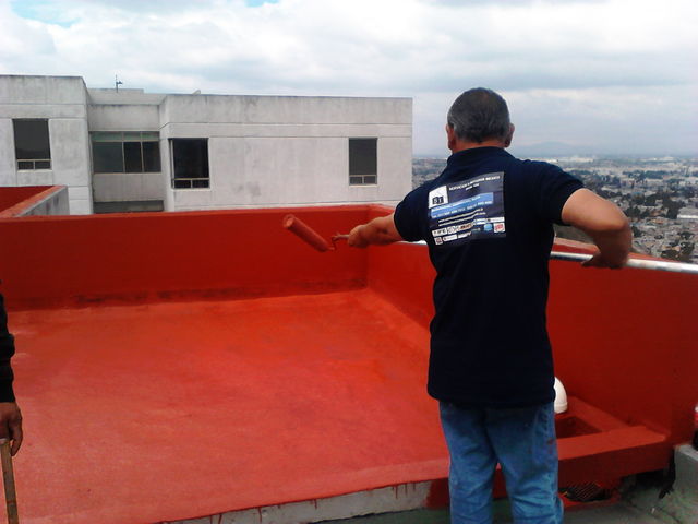 Sin Nombre