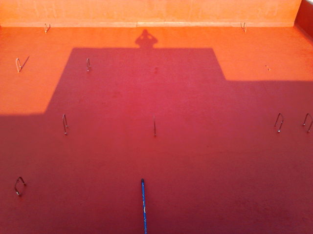 Sin Nombre