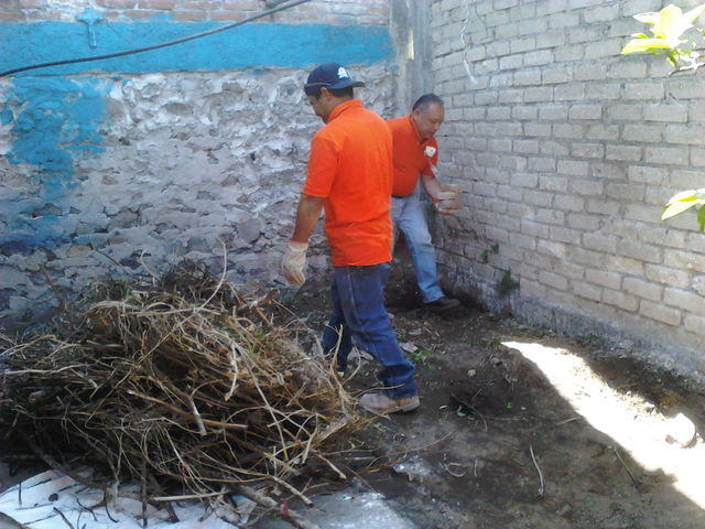 Sin Nombre