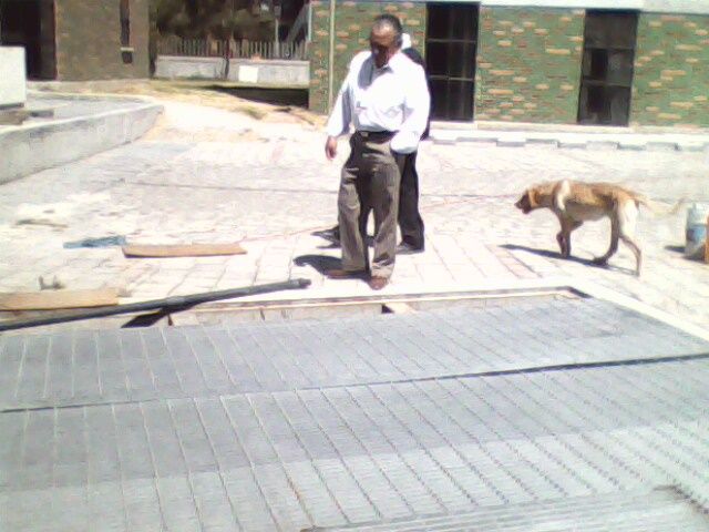 Sin Nombre