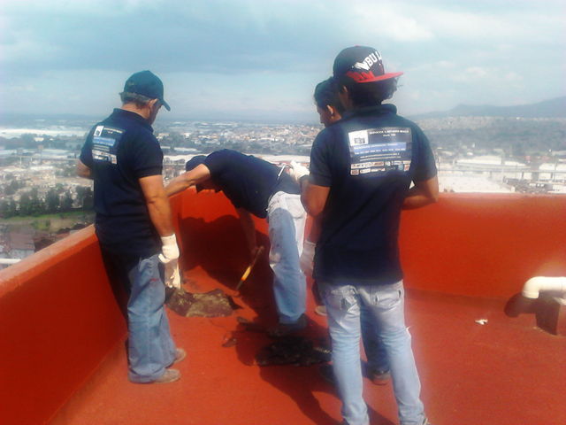 Sin Nombre